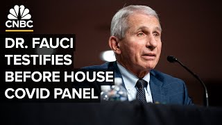 Dr Anthony Fauci testifies before House subcommittee on Covid19 pandemic — 632024 [upl. by Politi]