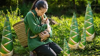 Rural Girl Harvesting Bamboo Shoots Stray Puppy Follow Her Home [upl. by Inez]