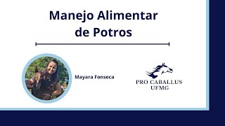 Manejo alimentar de potros com a Dra Mayara Fonseca [upl. by Ninnetta]