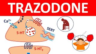 Trazodone tablets and Important Side effects [upl. by Caroline432]