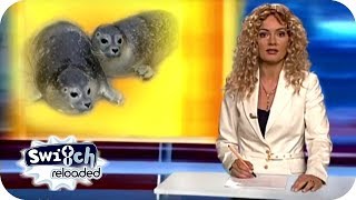 RTL Punkt 12  Süße Robbenbabys im Soester Zoo  Switch Reloaded Classics reupload [upl. by Ameerahs314]