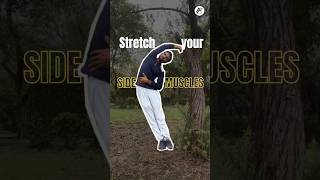 😃A very Easy and Effective Stretching for your Obliques flexibilitysidestretches obliquestretch [upl. by Fanni]