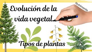 TIPOS DE PLANTAS  Evolución de la vida vegetal [upl. by Aramaj747]