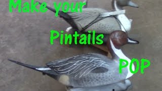 How to repaint old Pintail decoys [upl. by Lose]