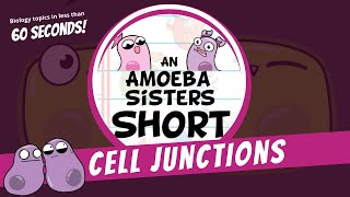 Cell Junctions  Amoeba Sisters Shorts [upl. by Weinshienk940]