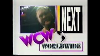 Sting amp Jim Duggan vs Arn Anderson amp Bunkhouse Buck Worldwide Feb 4th 1995 [upl. by Ailimat]