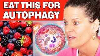 Foods That Promote Autophagy [upl. by Ara]