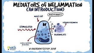 Mediators of Inflammation An Introduction [upl. by Ojillib]