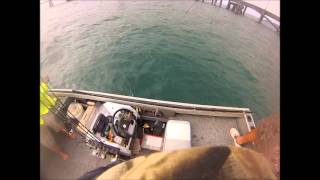 How we land Queenies Crackajack Sportfishing Style Hinchinbrook [upl. by Wahlstrom]