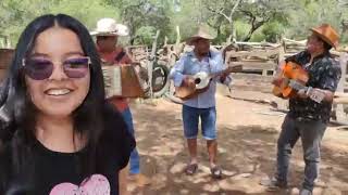 Enganchado De Taquiraris Tradicionales De Los Valles Cruceños En Una Ambrosia Muy Alegre en Comarapa [upl. by Petite25]