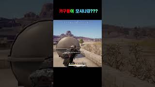 카구팔이 모신나강 유니그라운드 pubg [upl. by Biamonte705]