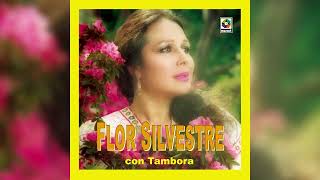 Flor Silvestre  Mi Destino Fue Quererte Visualizador Oficial [upl. by Enehpets121]