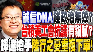 【精華】誠信DNA碰政治無效？台積陷美工會抗議有貓膩！？輝達搶手陸行之憂重複下單！ 林宏文 tvbsmoney 20230829 [upl. by Mairem808]