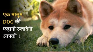 STORY OF DOG  Movie Explained in hindi  MoBietv Hindi [upl. by Atinrahc]