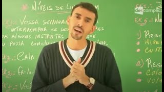 Introdução aos Níveis de Linguagem  Aula ao Vivo Português  Descomplica [upl. by Dann]