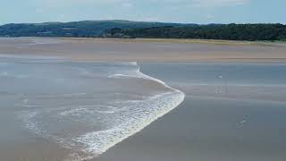 Arnside Tidal Bore By Drone 160722 [upl. by Maise52]