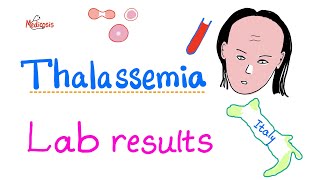 Thalassemia  Lab Results  How To Diagnose Thalassemia  Hematology Series [upl. by Asreht]