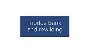 Responsible Business at WBD Triodos Bank and rewilding [upl. by Hertzfeld]