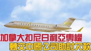 加拿大扣尼日利亞專機，轉交中國公司助討欠款 [upl. by Noet]