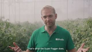 Rivulis Super Fogger Efficient climate control in your greenhouse [upl. by Kimberlee442]