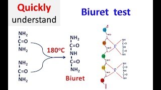 Biuret test [upl. by Vtehsta]