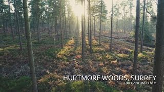 Afternoon flight at the Hurtwood Forest  DJI Phantom 2 GoPro Hero 4 in 4k resolution [upl. by Fagaly281]