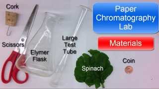 Paper Chromatography Lab short [upl. by Odnalo]