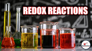 Redox Reactions l Lecture 5 l Chemistry l NEET [upl. by Leasia]