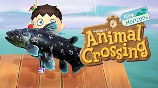 Animal Crossing New Horizons 19  Der seltene Quastenflosser  Lets Play Gameplay Deutsch [upl. by Hastings]