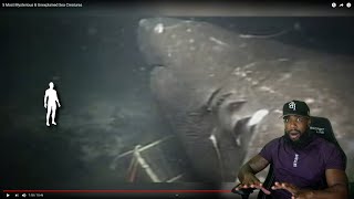 THEY GOT IT ON 4k 5 Most Mysterious amp Unexplained Sea Creatures [upl. by Etnod348]