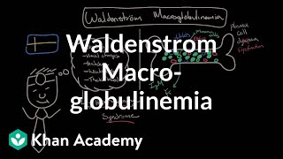 What is waldenstrom macroglobulinemia  Hematologic System Diseases  NCLEXRN  Khan Academy [upl. by Anuaik]