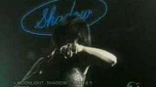 Akina Nakamori  Moonlight Shadow  月に吠えろ [upl. by Novled]