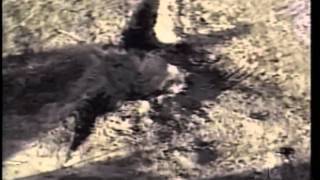 911 Flight 93 Crater  Rare Close Up From Above NBC Helicopter [upl. by Imalda]