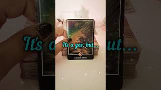 🌟Yes or No Tarot guidance🫶🏻🌼 tarotguidance tarotreadersofinstagram tarotguidance1111 yesnotarot [upl. by Ennovehs219]