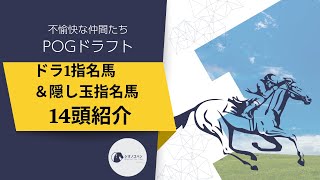 【POG・一口馬主】2024‐25POG POGドラフト 7人の1位指名馬と隠し玉の合計14頭の紹介【ゆっくり動画】 [upl. by Maupin]