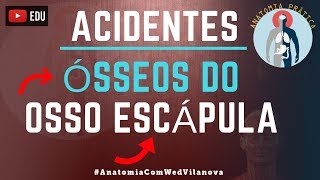 Osso Escápula ACIDENTES ÓSSEOS Quais são❗❓DESCUBRA AQUI❗ Anatomia Prática [upl. by Karlene]