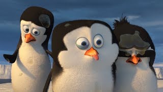 DreamWorks Madagascar en Español Latino  Eso es asqueroso  Clip de Los Pingüinos de Madagascar [upl. by Grewitz]