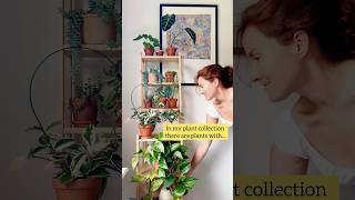 Plants are so amazing and diverse 💚 collection plants houseplants plantcollection [upl. by Laddie]