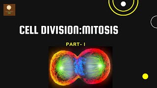 AMITOSIS CELL DIVISION [upl. by Ecyrb]