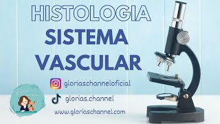 Histología para Medicina arterias venas capilares [upl. by Naerol686]