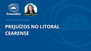 Litoral cearense amarga danos econômicos e ambientais com erosão costeira [upl. by Groot477]