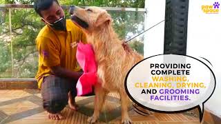 PawSpace Doorstep Pet Grooming [upl. by Stokes]