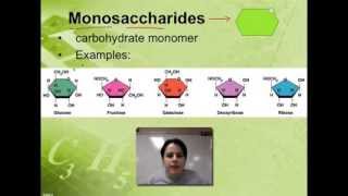 Ch 2B  Carbohydrates [upl. by Idette]