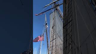 Urbanna Oyster Festival 2023 travel tallship [upl. by Potter529]