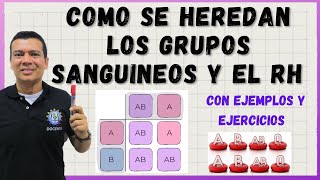 COMO SE HEREDAN LOS GRUPOS SANGUÍNEOS FACTOR RH Con ejercicios y ejemplos [upl. by Ayisan995]