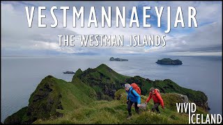 The Volcanic Wonders of Vestmannaeyjar A MustVisit Destination in Iceland [upl. by Ninnette]