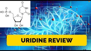 Uridine Review Is It Worth the Hype Find Out Here  Biohacking [upl. by Garald846]