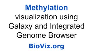 Visualization of whole genome DNA methylation [upl. by Samuela]