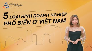 5 loại hình doanh nghiệp tại Việt Nam và Ưu Nhược Điểm  Kế toán Anpha [upl. by Kristian]