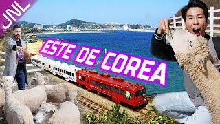 VIAJAMOS EN UN TREN COREANO ¿CÓMO ES EXCURSIONES DE UN DÍA FUERA DE SEÚL ★JUNALE★ [upl. by Aihsyak25]